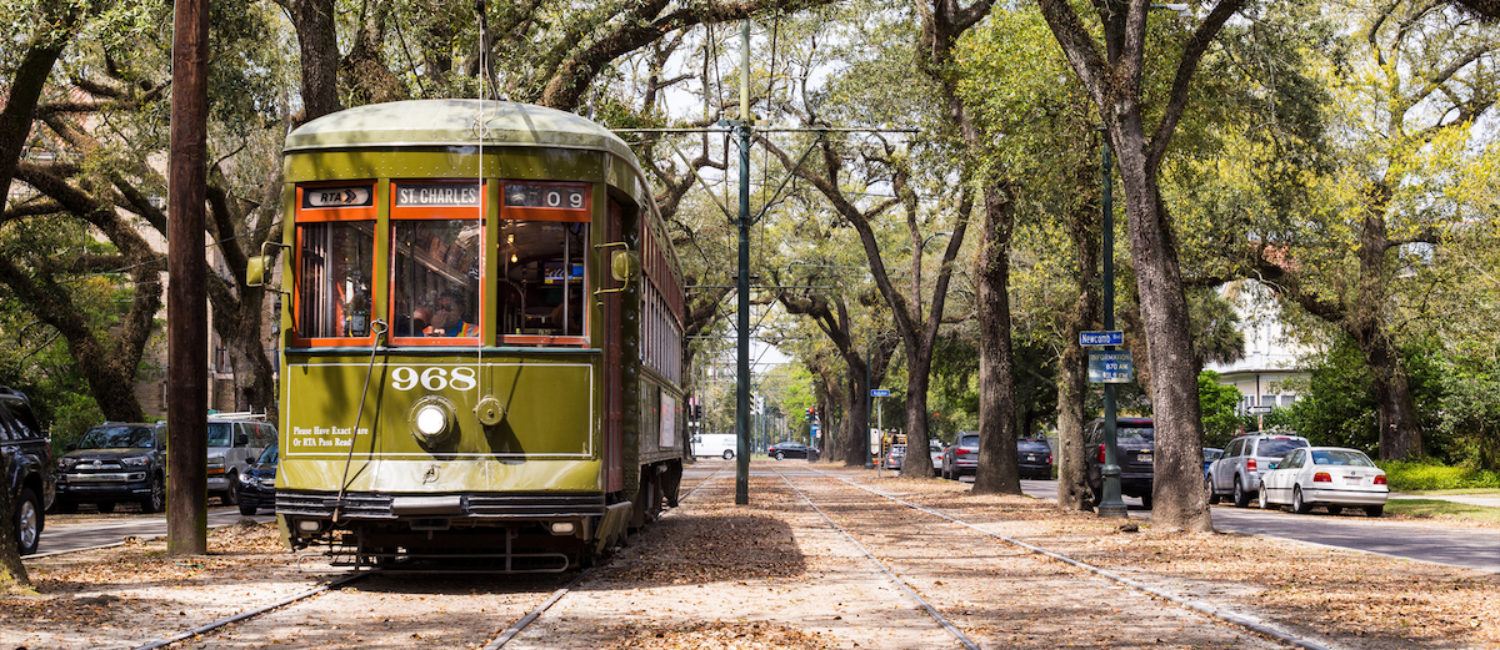 kid family friendly new orleans guide