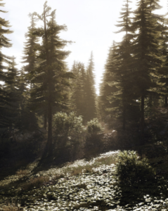 Screenshot 2022-09-27 151510