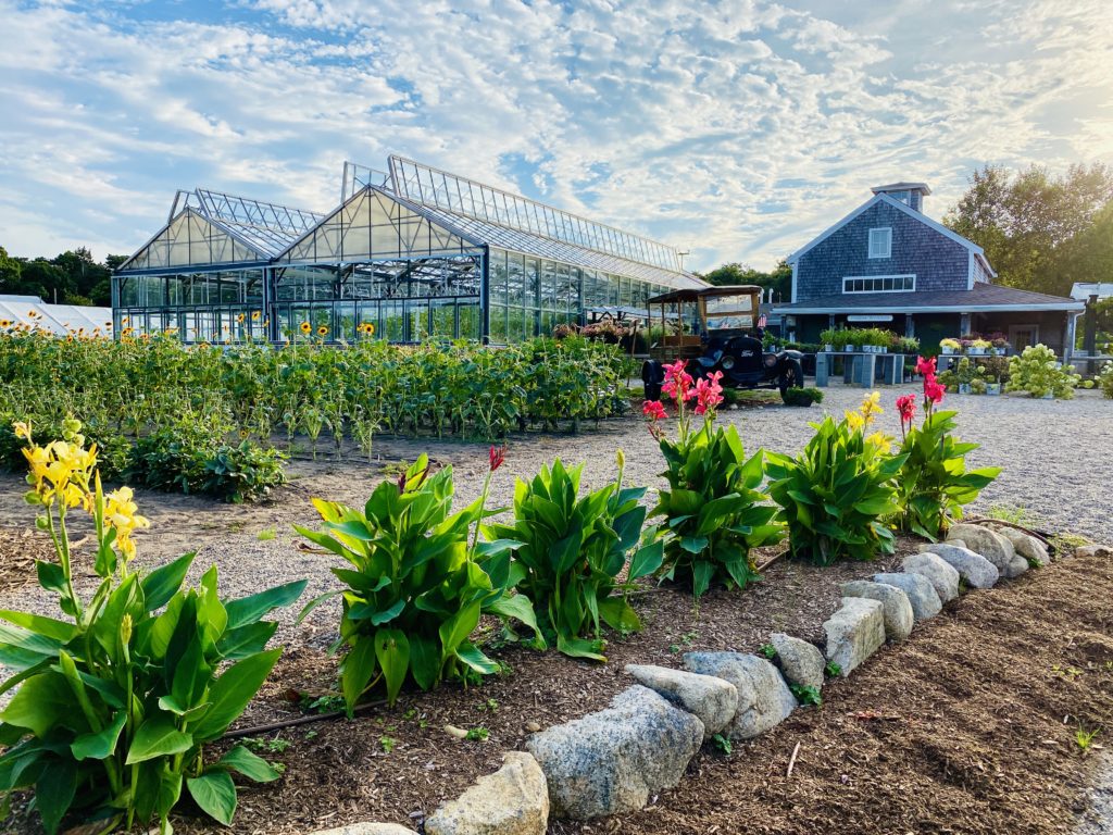The Farm at Chatham Bars Inn produces all of the produce used in the hotel's impressive culinary program.