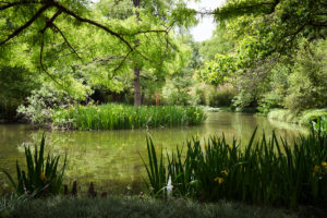 322 Valley_Garden_Exteriors_v21 (Photo by Pär Bengtsson / art direction by Michelle Aviña)