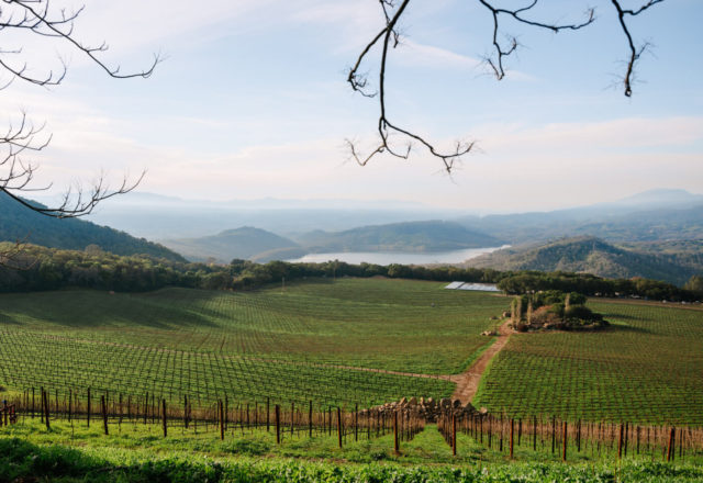 A view of the Chappellet Estate, with Lake Hennessey in the background. (Courtesy Chappellet)