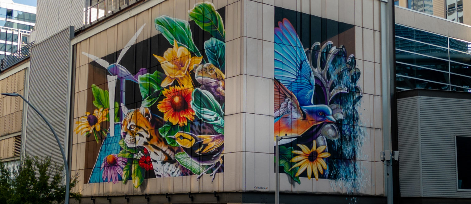 Houston Murals, “Hope for a Greener Future” by artist Carlo Alberto (Photo by @superkant and @cyvisuals_, courtesy Street Art for Mankind)