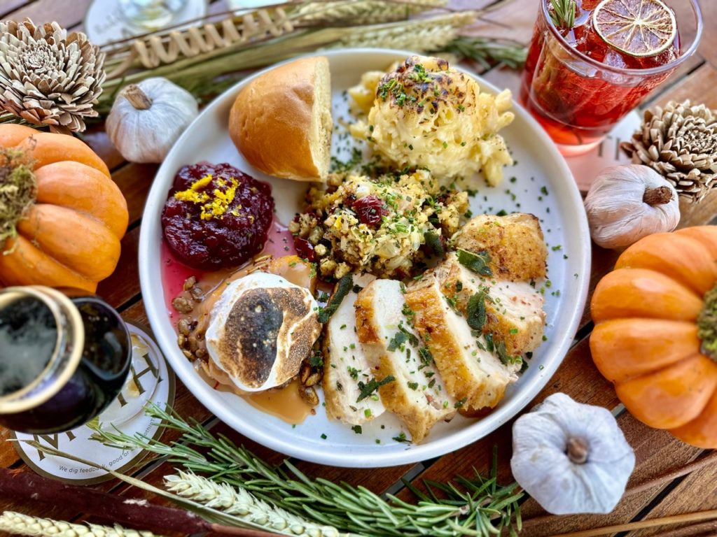 Meddlesome Moth Thanksgiving
