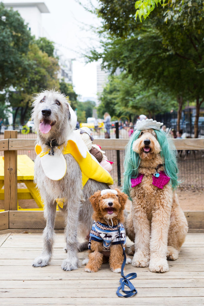 Mutts_Howloween-25 (1)