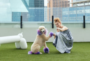 The National Pets
