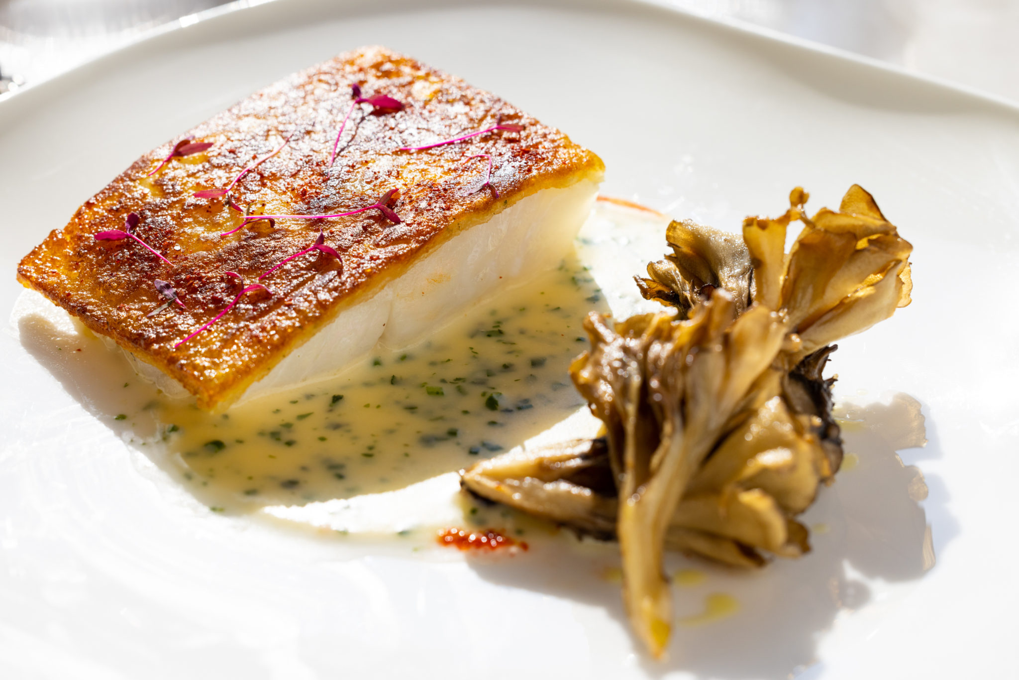Yucca Crusted Cod, Beurre Blanc & Seasonal Mushrooms PaperCity Magazine