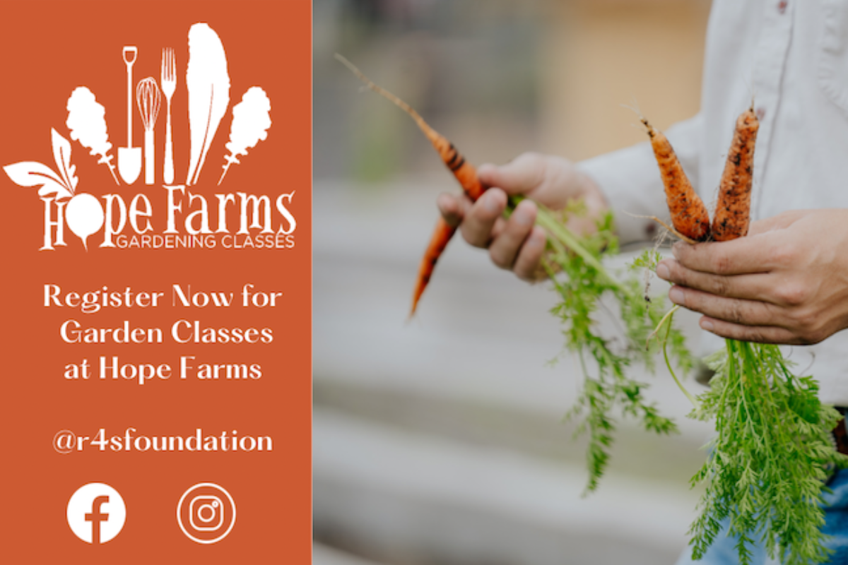 Gardening Class at Hope Farms Get Started with Tomatoes (For Adults