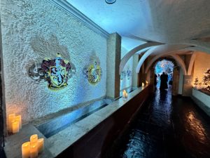 The Harry Potter Yule Ball