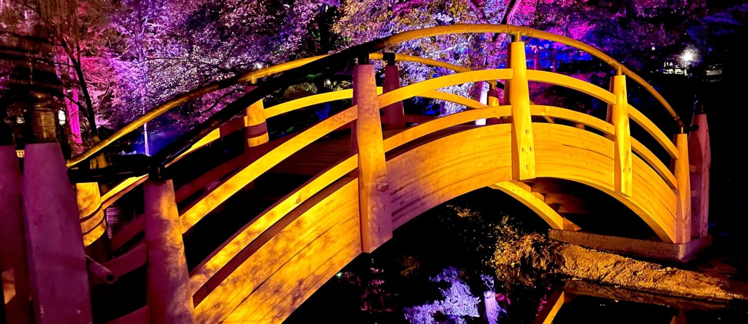 Lights – The Japanese Garden’s new arched bridge reflects in the water. Photo by Courtney Dabney.
