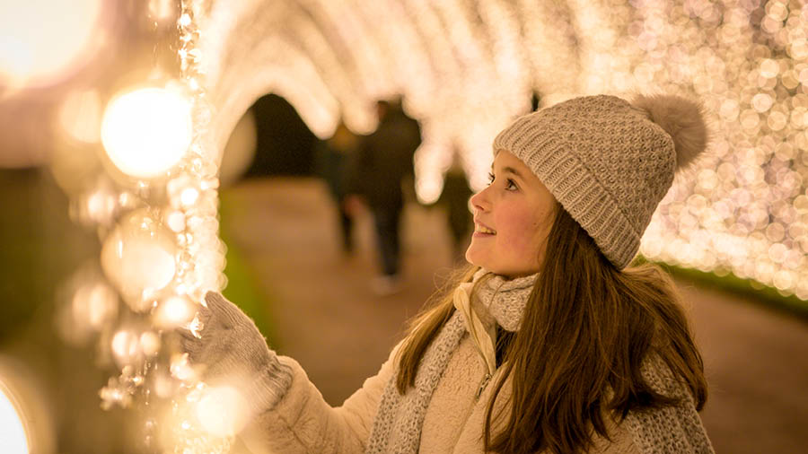 The Winter Cathedral at Fort Worth's Lightscape is a photo opportunity.