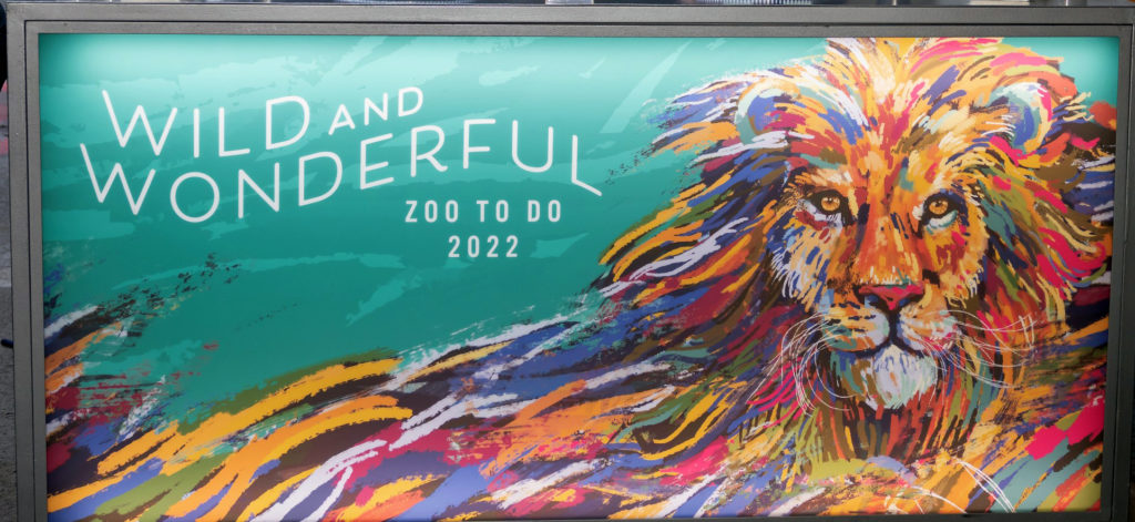 Zoo To Do 2022 (Photo by Thomas Garza and Rob Wythe/Wythe Portrait Studio)