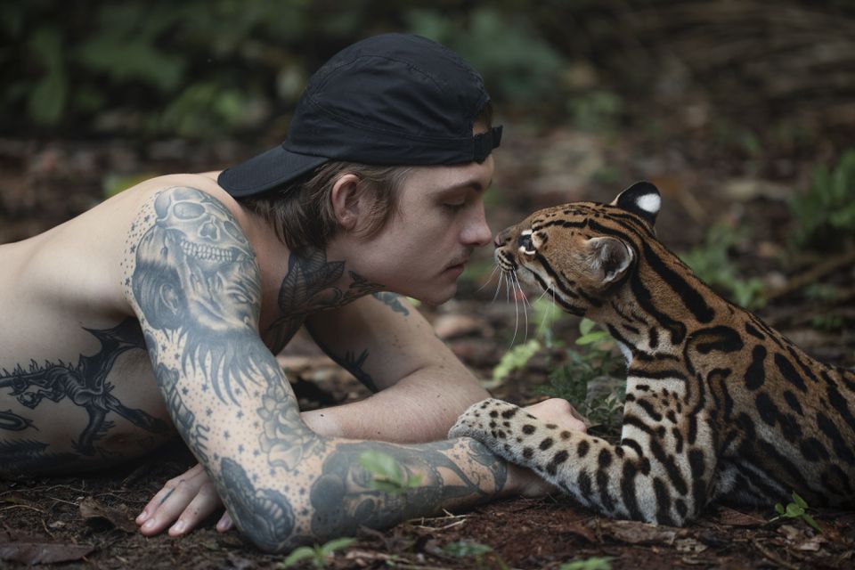Wildcat movie