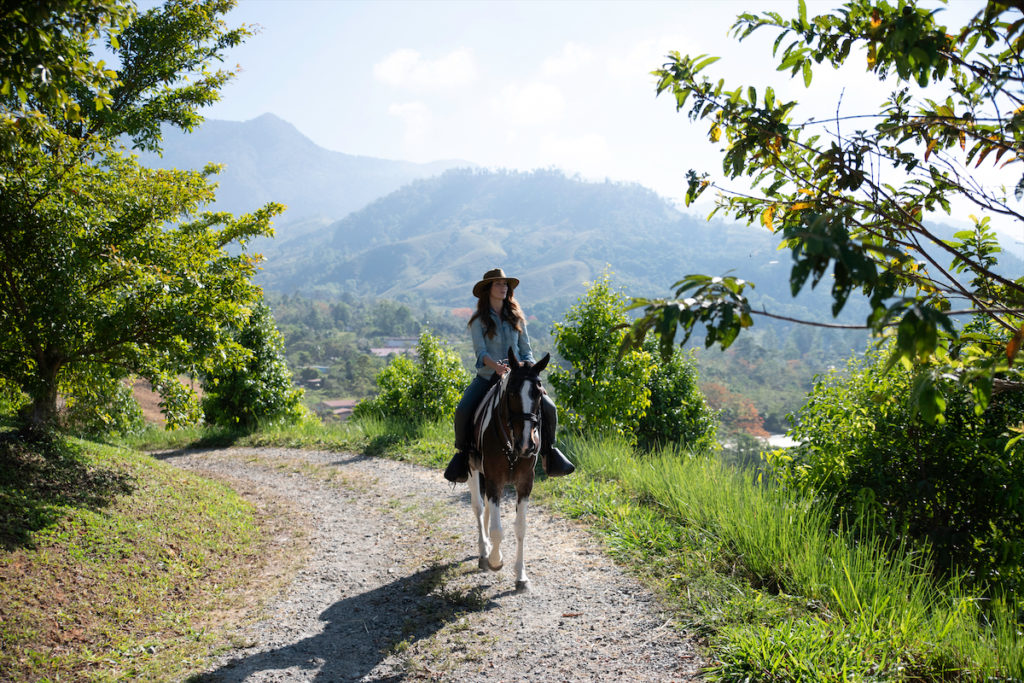 Explore an equestrian trail in Costa Rica. 