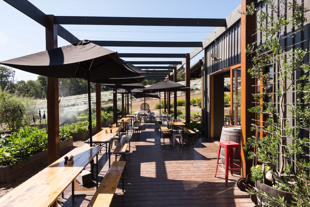 Green Olive at Red Hill, Mornington Peninsula (courtesy of Visit Victoria) 