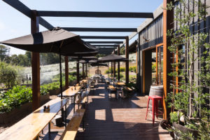 Green Olive at Red Hill, Mornington Peninsula