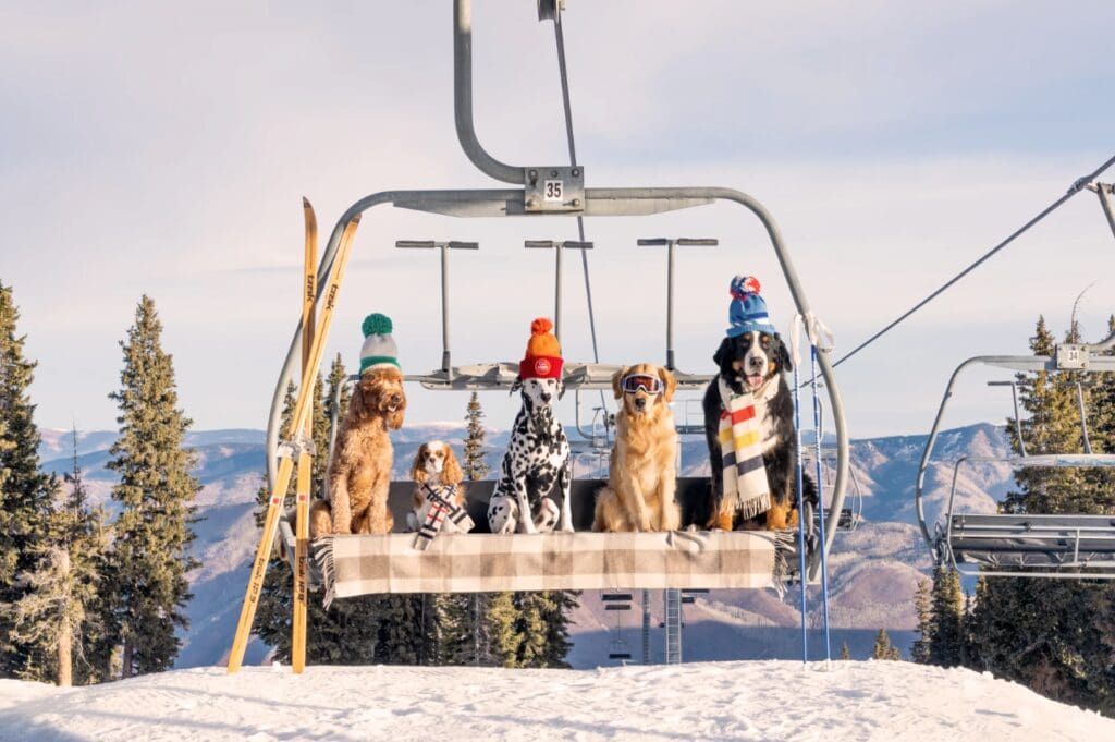 "Chairlift Pups" in Aspen by Gray Malin