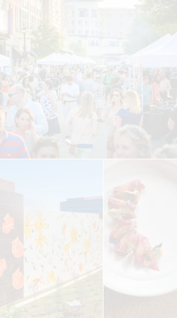 THE WOODLANDS SPLASH PAGE COVER (1200 × 800 px) (1200 × 1000 px) (1000 × 1800 px)-min