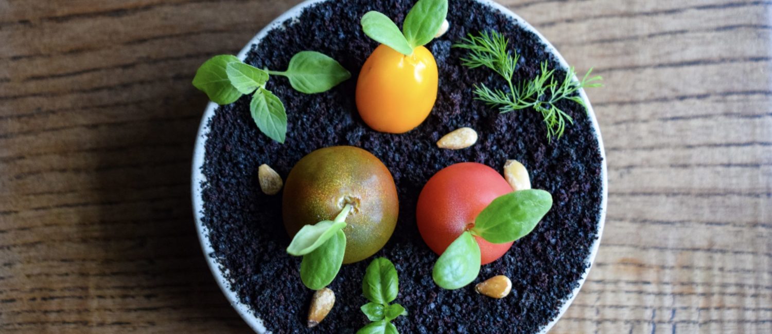 Tomato Garden at Money Cat (Photo by Kimberly Park)