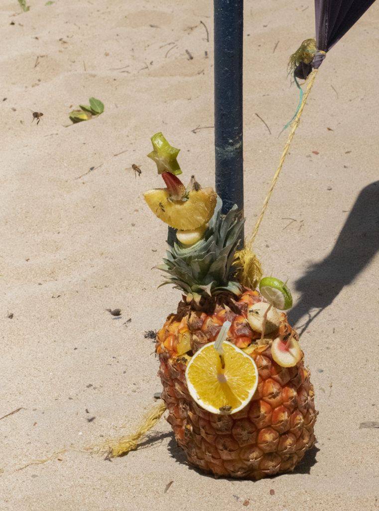 Crisitina Velasquez's "Elegancia tropical," 2022. This image, which is simultaneously repulsive and attractive, was featured in the inaugural exhibition at Assembly, Houston’s newest photography gallery. The light wood frame beautifully extends the sand.