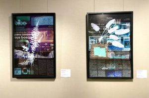 Illuminations – Where art and science meet. Artworks by Dornith Doherty on view at BRIT.