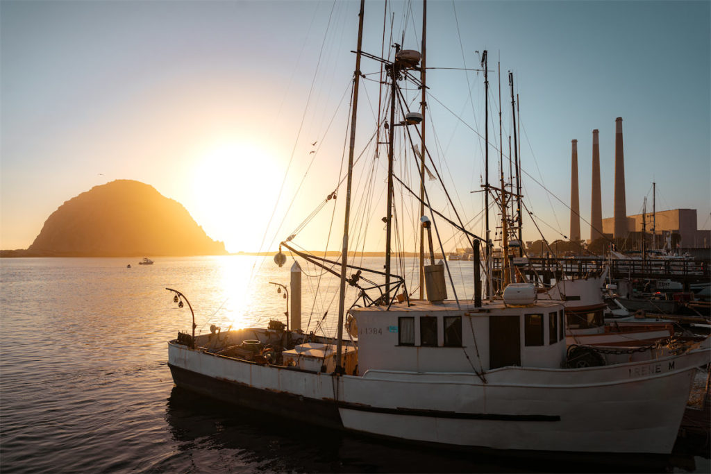 Rent a kayak or join an organized tour to explore Morro Bay. (Courtesy)
