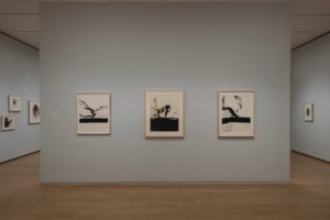 Motherwell MDI gallery view