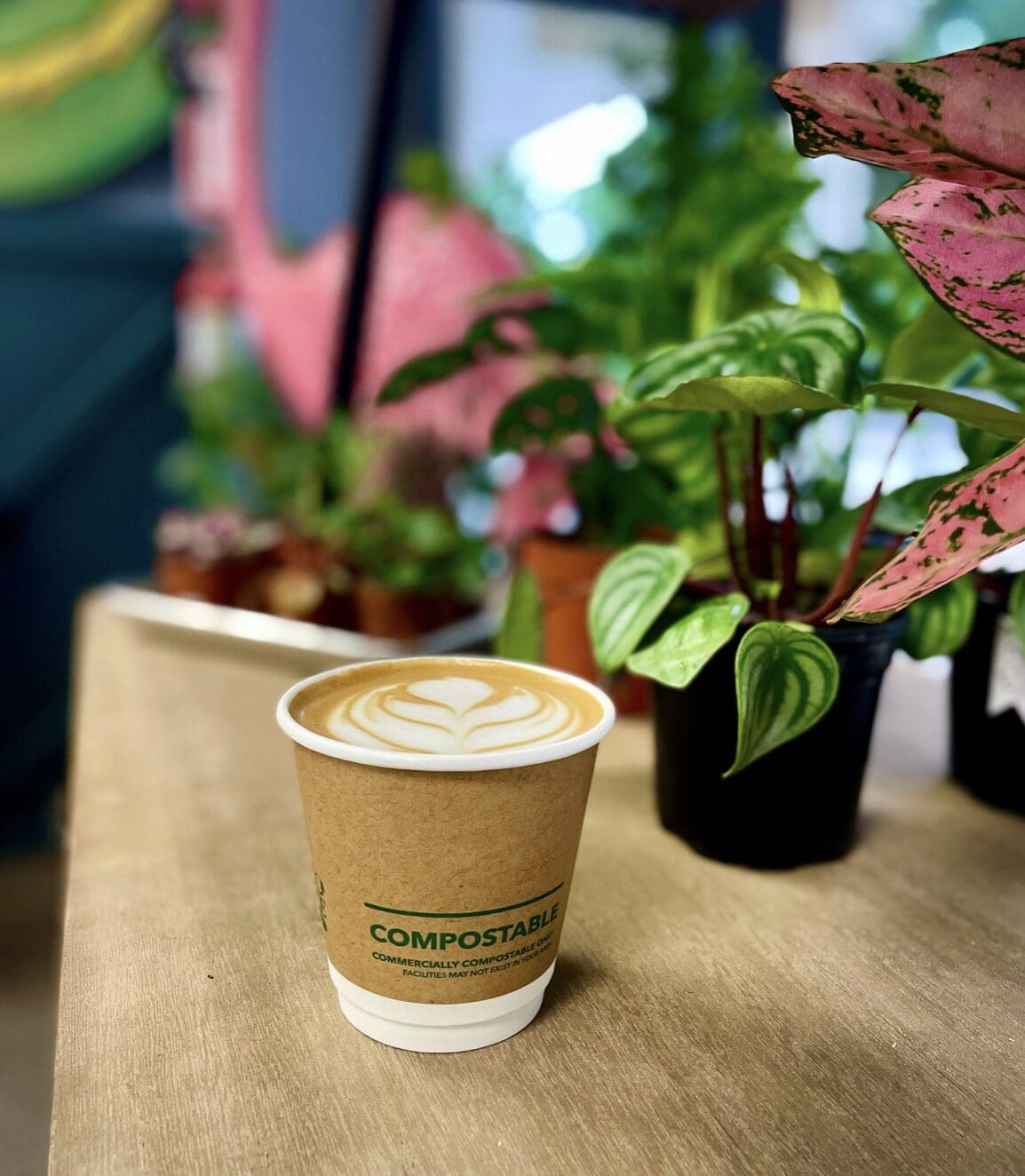 Conduit Coffee