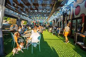 Vector Brewing of Dallas