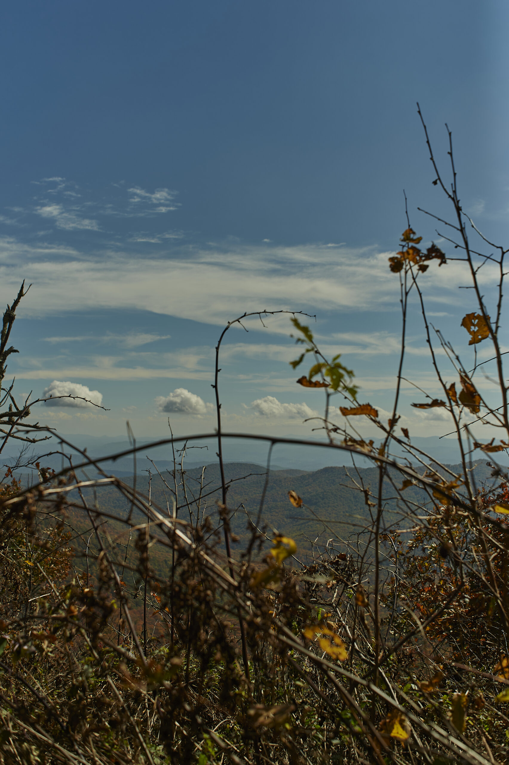 Appalachian trail