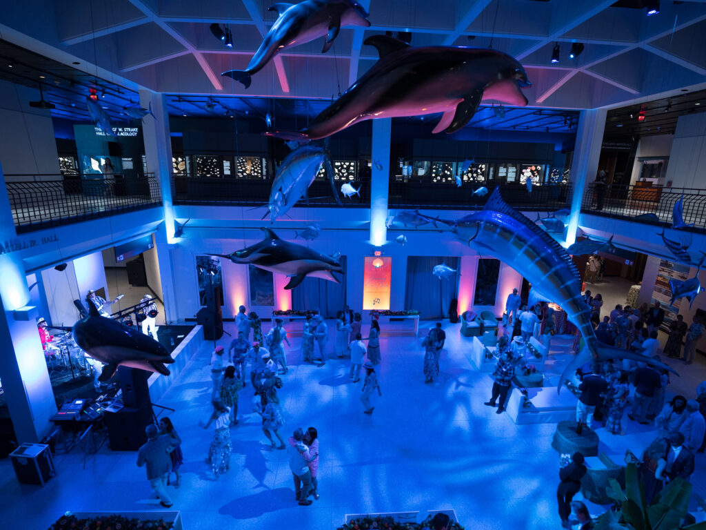 Dancing beneath sea creatures at the Houston Museum of Natural Science gala. (Photo by Daniel Ortiz)