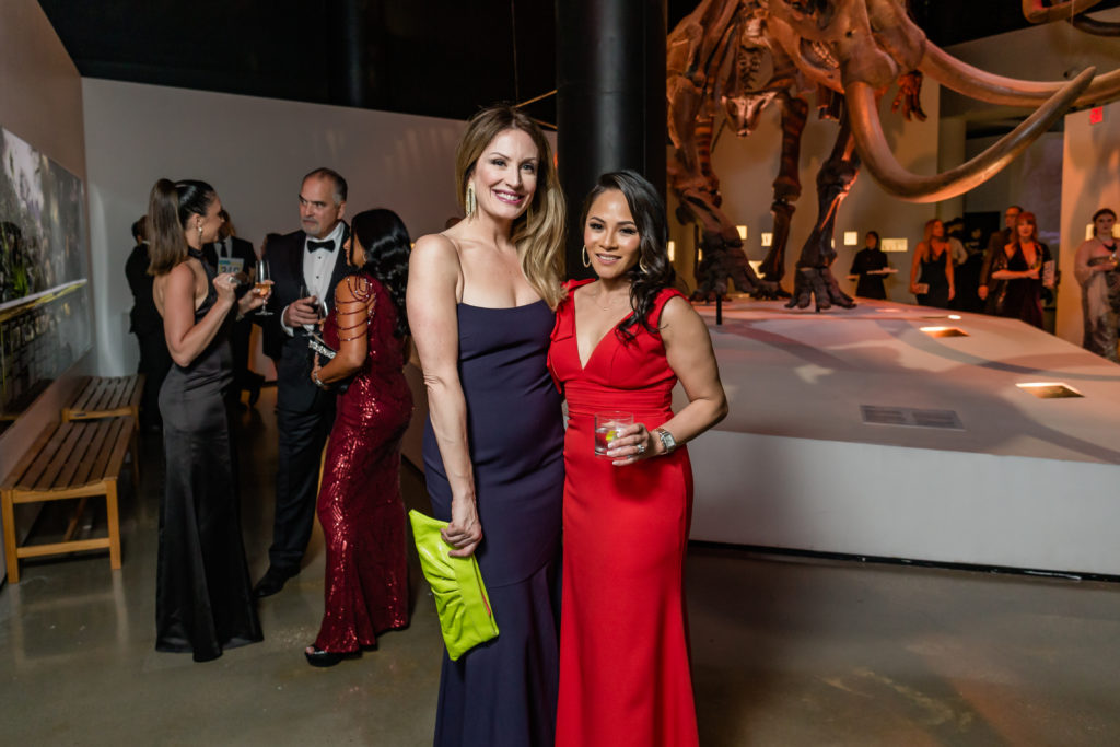 Sarah Gibson, Charlene Sabonghy at the inaugural CEO Foundation gala held at the Houston Museum of Natural Science.