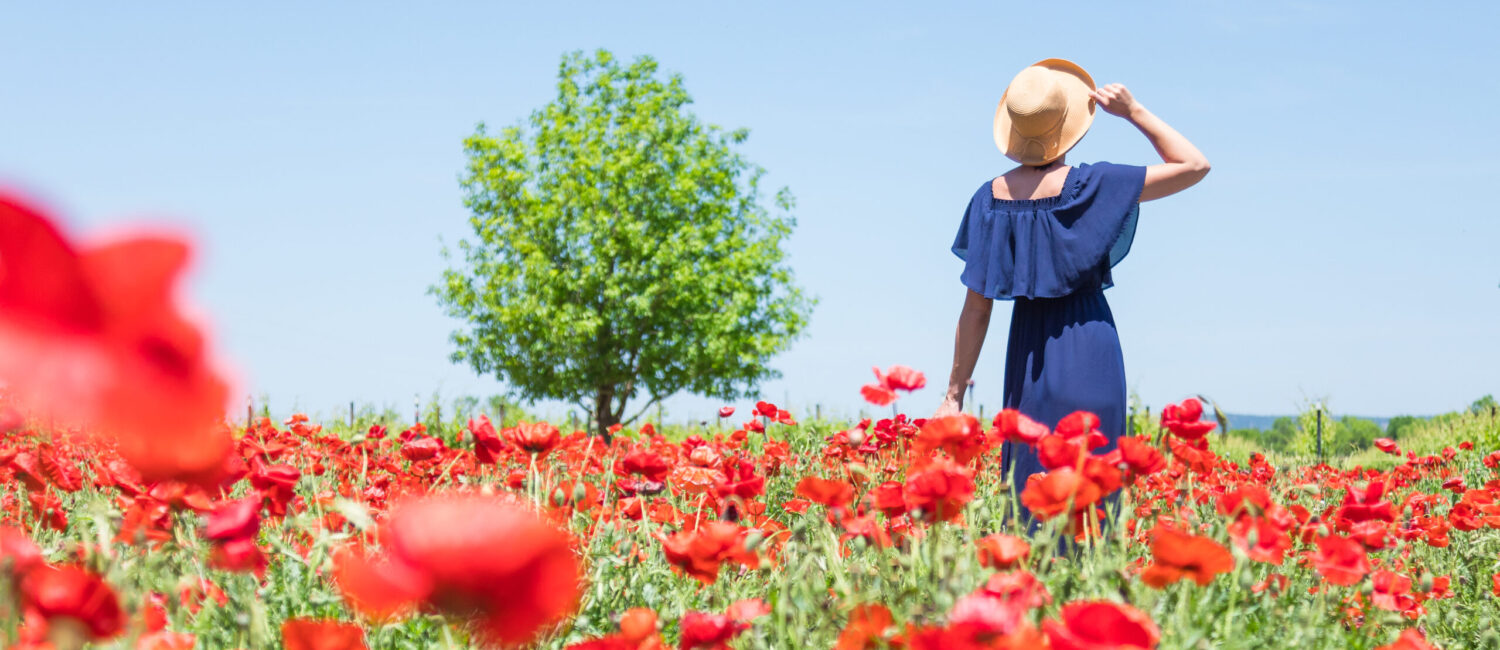 It’s Texas wildflower season, which means more than those Texas bluebonnets. If you’re passionate about poppies, Wildseed Farm is the place to go. (Photo by Travel Texas)