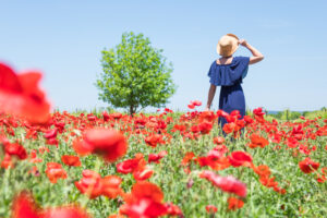It’s Texas wildflower season, which means more than those Texas bluebonnets. If you’re passionate about poppies, Wildseed Farm is the place to go. (Photo by Travel Texas)