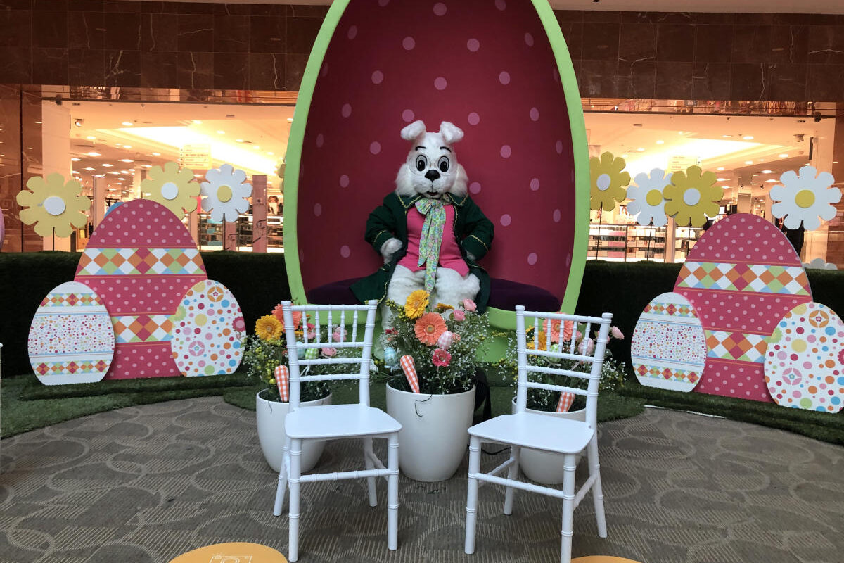 Easter Bunny Near You