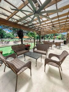 Wild Stallion has covered outdoor seating, open seating and indoor seating options.