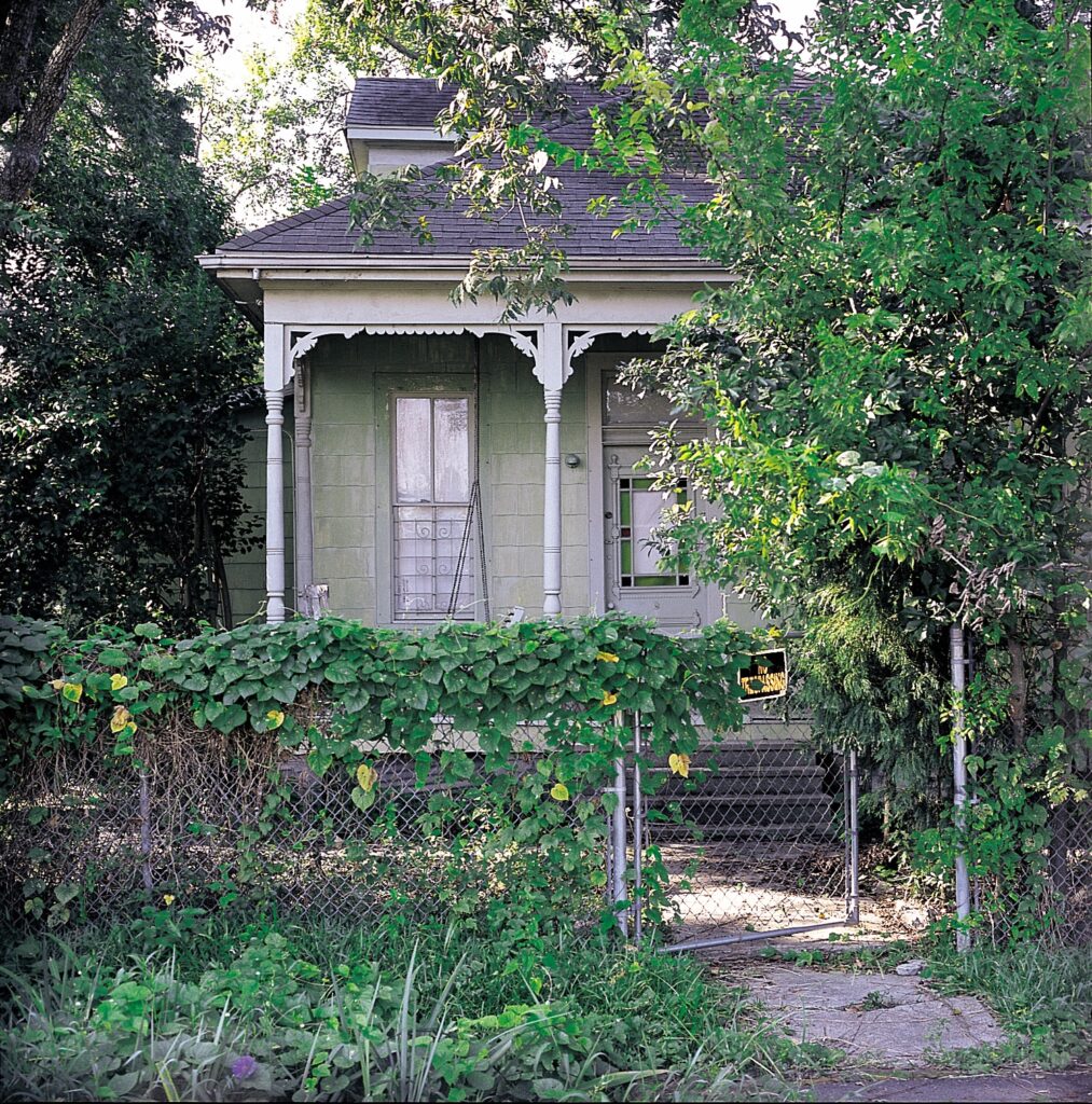 A Little Nest (Photo by Hickey-Robinson)