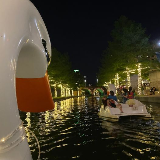 Explore the Woodlands Waterway at night by swan boat. 