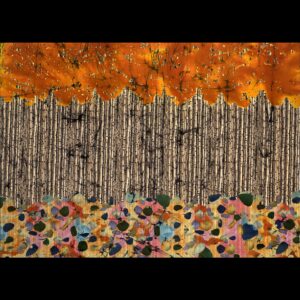 Amos Amit is a regular at The Woodlands Waterway Arts Festival.