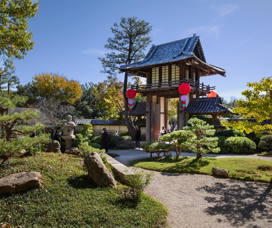 The Fort Worth Japanese Festival transports visitors east twice a year.