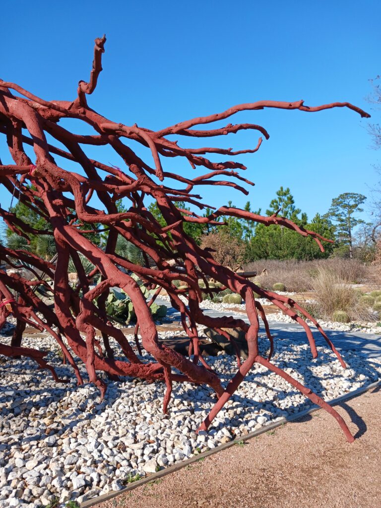 "Bronze Root" at Houston Botanic Garden (Photo by Justin Lacey)