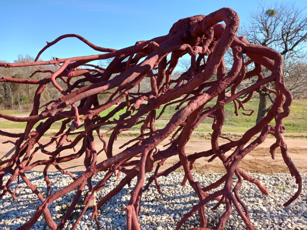 "Bronze Root" is made from wax poured into a mold of a root, then pieced together to recreate the original shape of the root. (Photo by Justin Lacey)