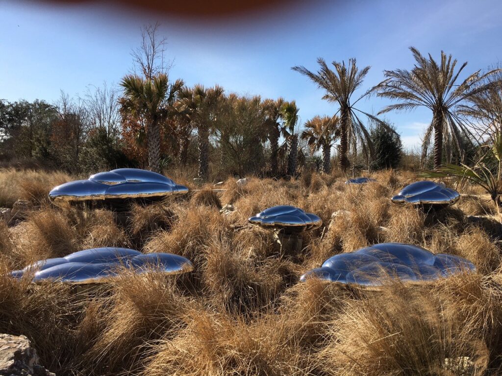 "Head in the Clouds" at Houston Botanic Garden (Photo by Daisuke Shintani)