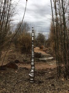 Icicles_Daisuke Shintani photo