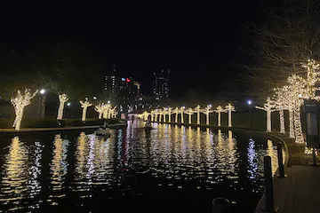 Starlight-Swan-Rides-image-2.jpg