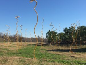 Twistys_horizontal_Daisuke Shintani photo