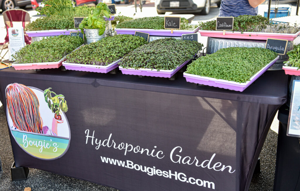 The Woodlands Farmer's Market at Grogan’s Mill every Saturday morning is a gathering of local purveyors, farmers, and artisans showcasing their wares.  Photo by Jessica T. Payne