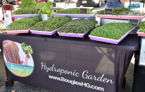 papercity_thewoodlands_famers_market_5