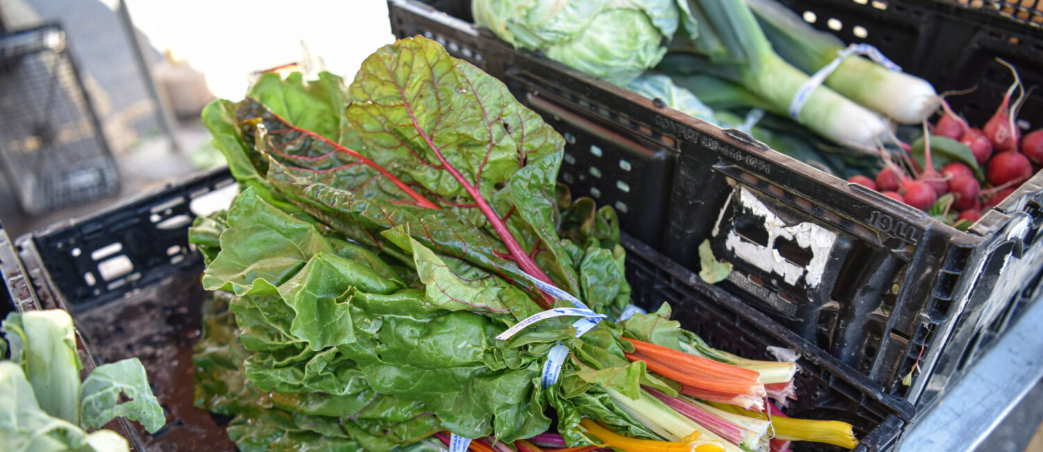 Established in 2008 as The Grogan’s Mill Farmer’s Market by Patricia Goodpastor, Bruce Cunningham, and Dana Denton, The Woodlands Farmer’s Market at Grogan’s Mill has been a staple in the enchanted forest for more than a decade. (Photo by Jessica T. Payne)