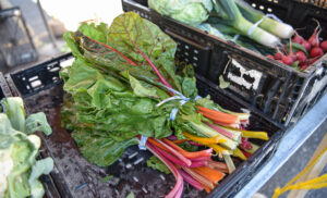 Established in 2008 as The Grogan’s Mill Farmer’s Market by Patricia Goodpastor, Bruce Cunningham, and Dana Denton, The Woodlands Farmer’s Market at Grogan’s Mill has been a staple in the enchanted forest for more than a decade. (Photo by Jessica T. Payne)
