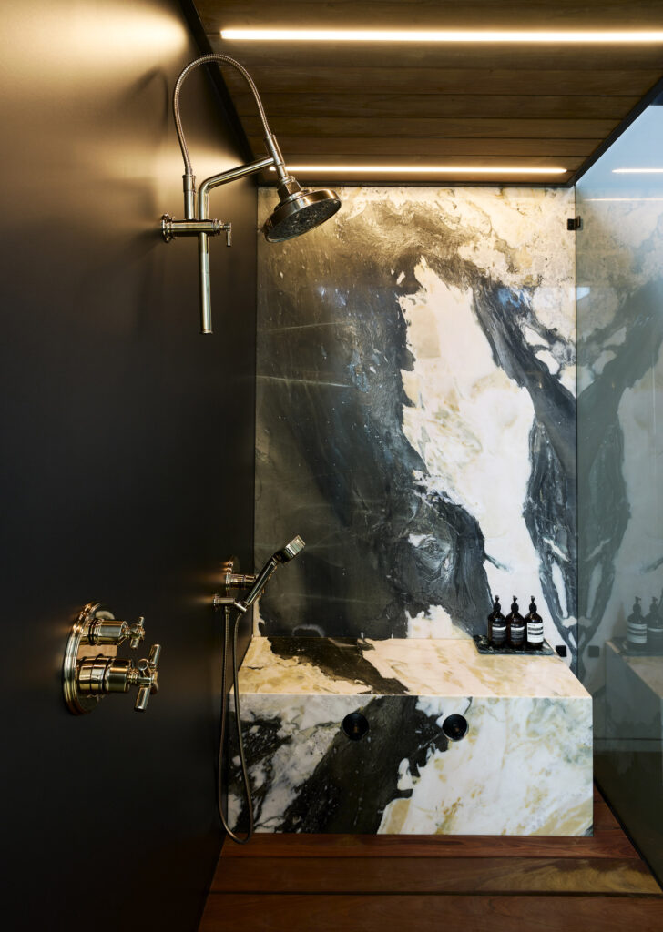 Wellville Development